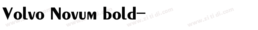 Volvo Novum bold字体转换 Volvo Novum bold字体转换